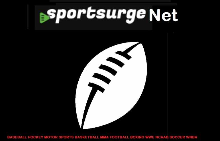 Sportsurge's Legal and Safety Status
